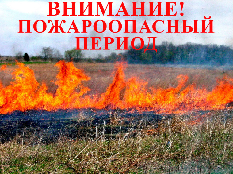 Оперативное предупреждение. Оперативное предупреждение.