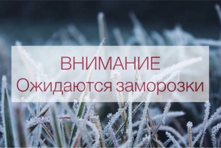 Оперативное предупреждение. Оперативное предупреждение.