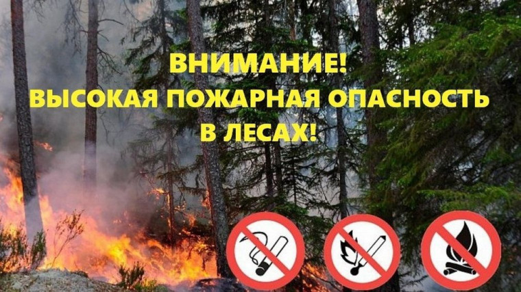 Оперативное предупреждение. Оперативное предупреждение.